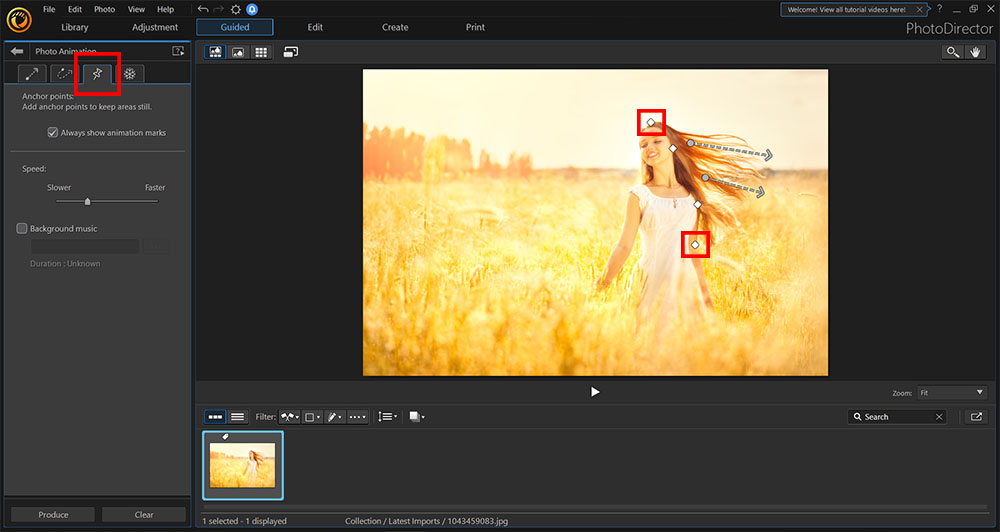 How To Make GIFs  Canva Free Online GIF Maker and Video Editor