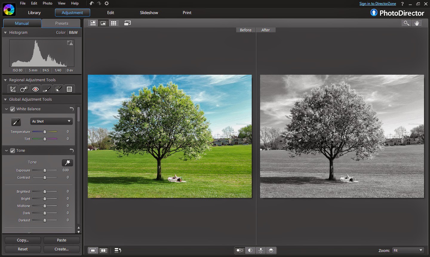 How to Convert a Black And White Photo to Color 