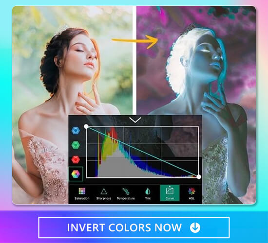 How to Invert Colors in Digital Photos?[2023]