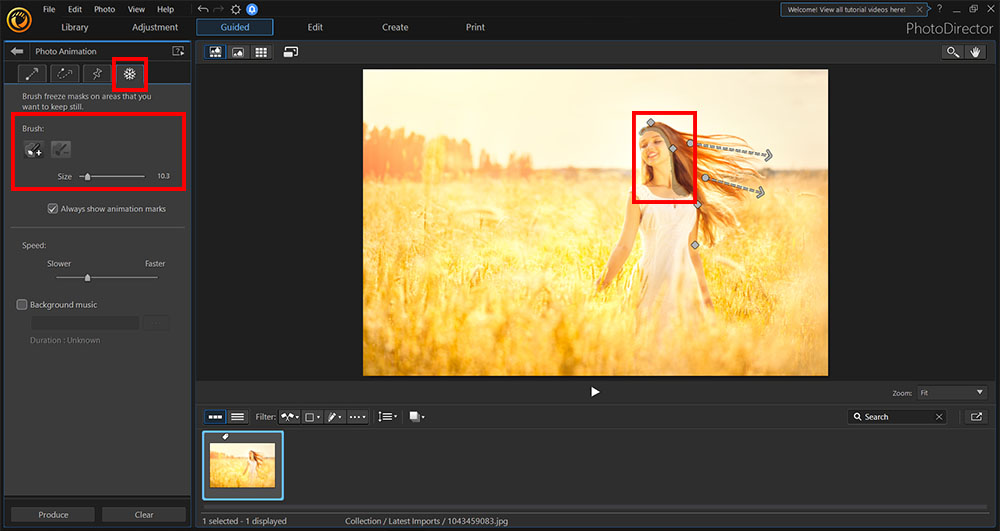 11 Best Free Animated GIF Makers | Make GIFs from Photos/Videos