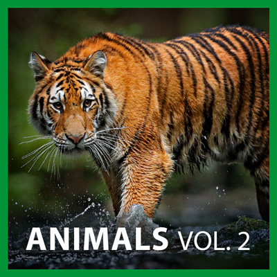 Sound Effect - Animals Vol. 2︱Plug-ins & Effects Store | CyberLink